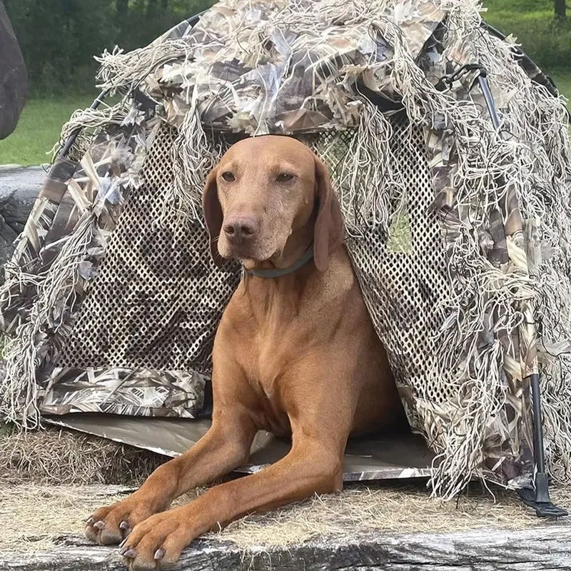 Outdoor Hunting Blinds - Carpa de Caza Ligera, Impermeable, con
