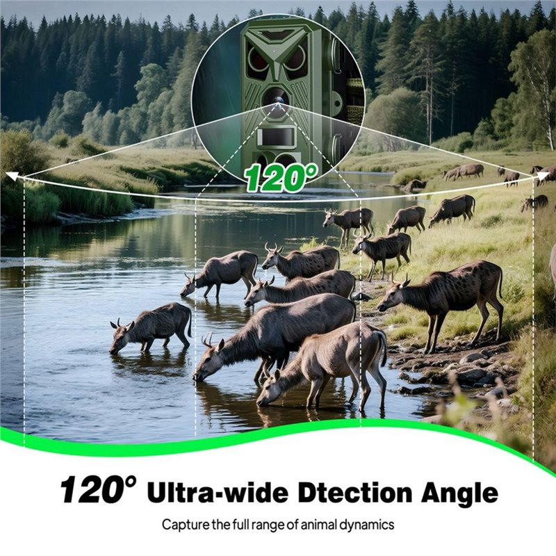 BTLIFE - Cámara de Vigilancia  - Trail Camera Infrared reseña y precio