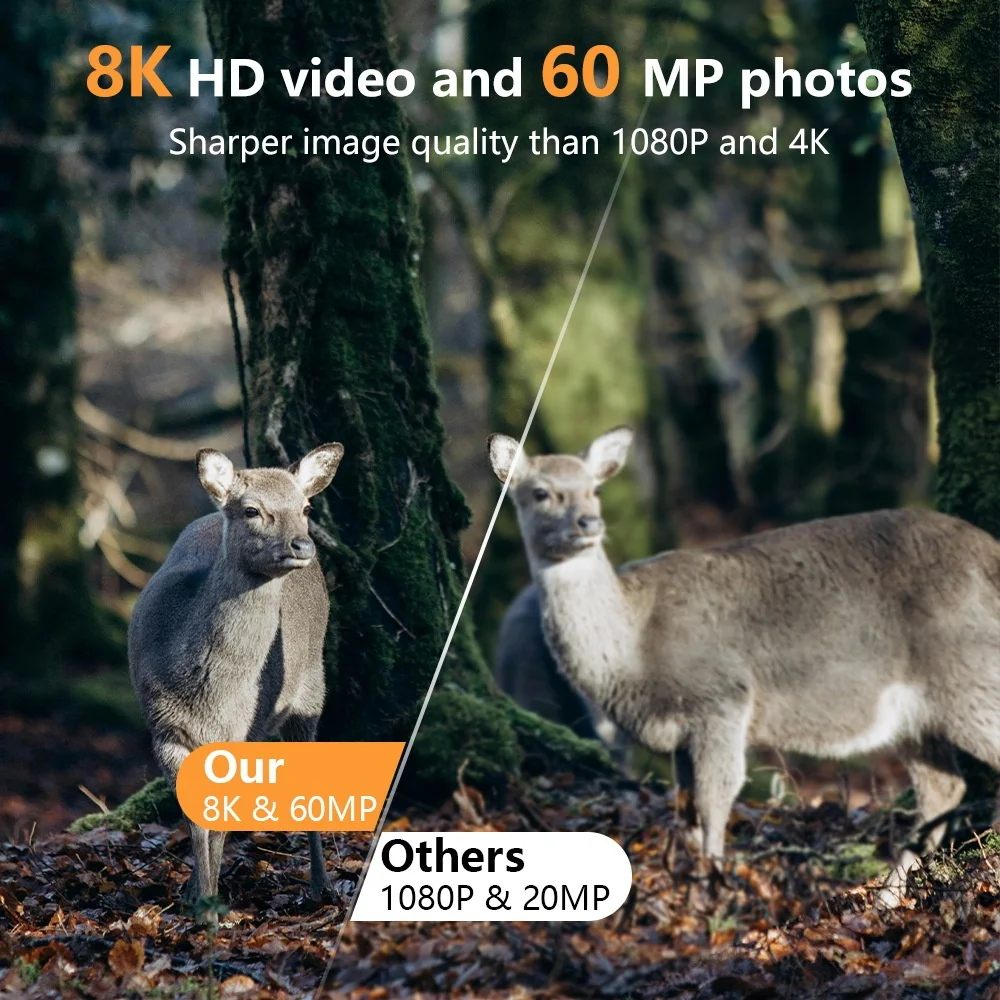 Cámara de rastreo WiFi PR803W  - Trail Camera Infrared reseña y precio