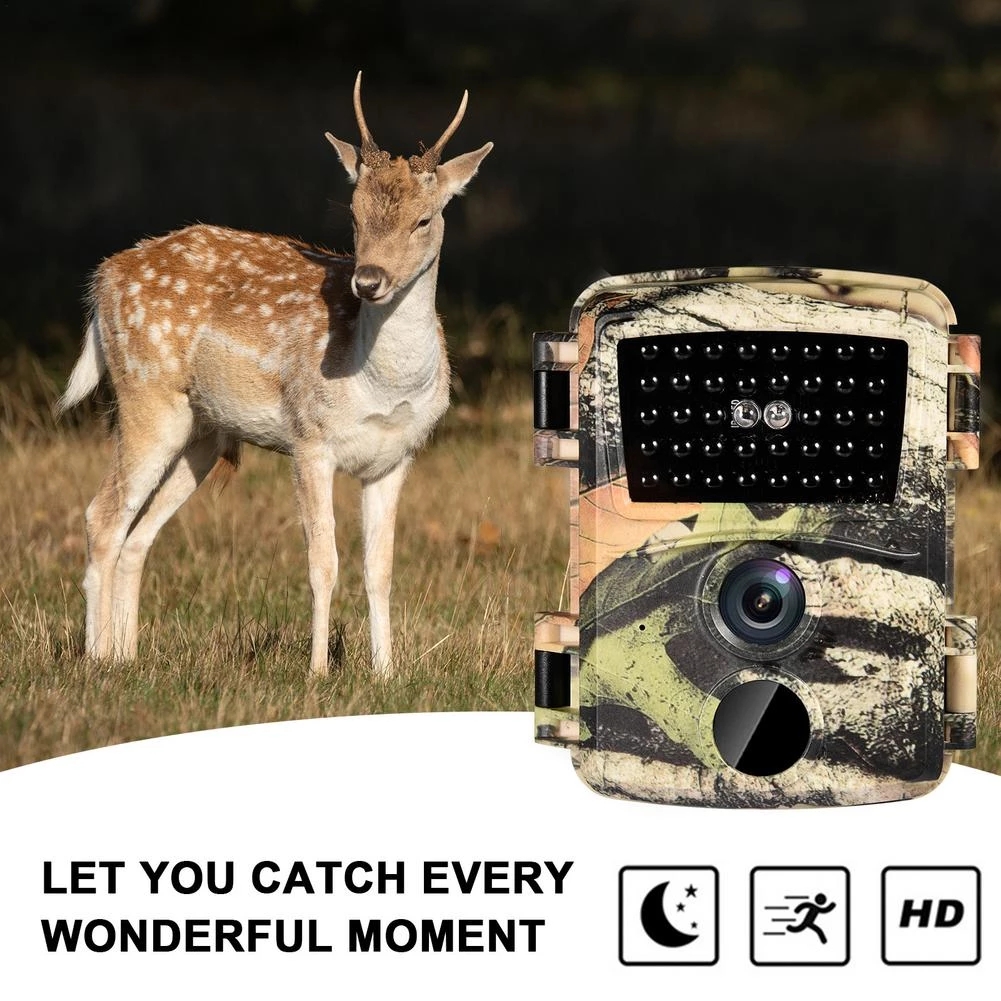 Mini cámara de caza de rastreo - Trail Camera Infrared reseña y precio