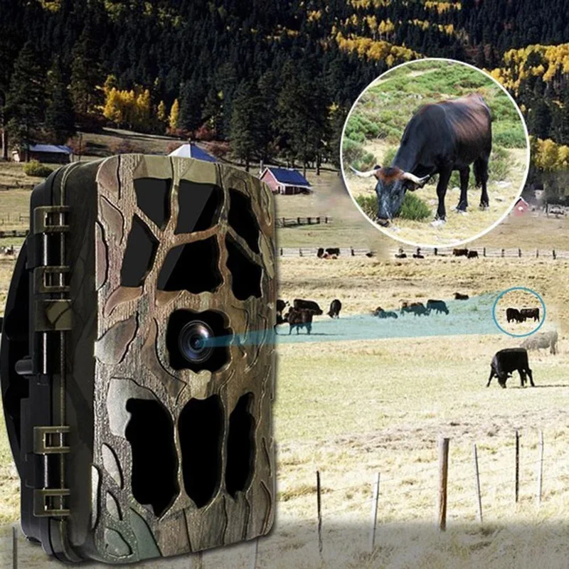 H982 IP66 impermeable 4K infra - Trail Camera Infrared reseña y precio